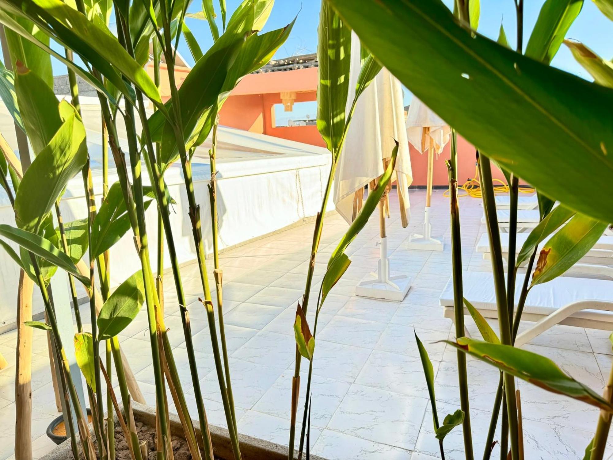 Riad Arrahma مراكش المظهر الخارجي الصورة